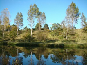 Amsterdamse Waterleiding Dunes