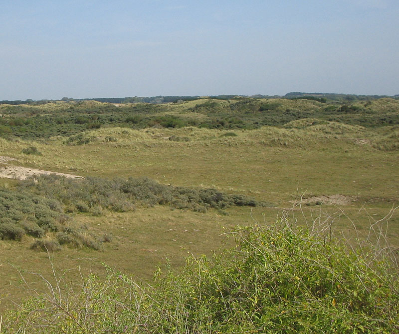 Dunes similar to when Zandvoort was known as Sandevoerde
