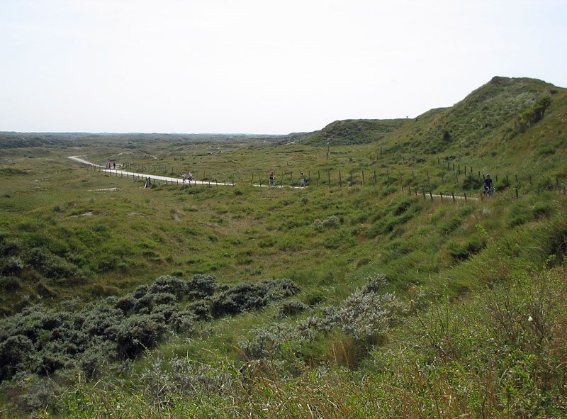 Dunes cycle tracks/walkways